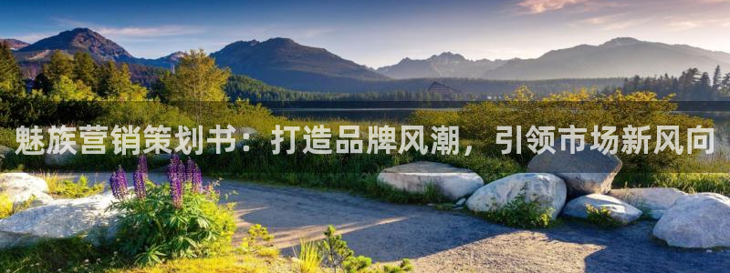 必赢网站mg冰球突破豪华版