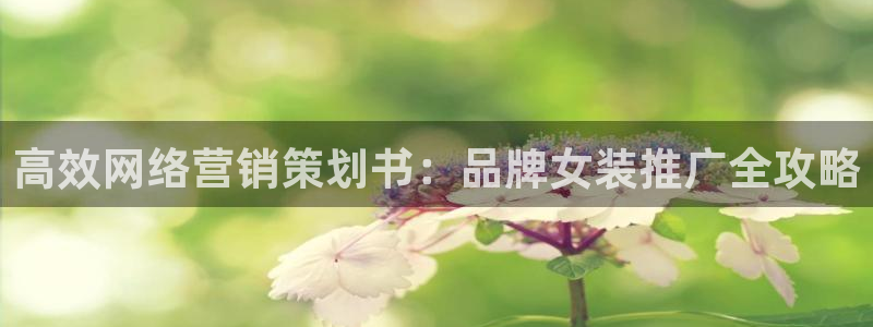 95必赢网址多少