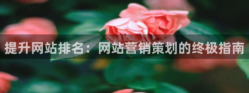 必赢官网下载app