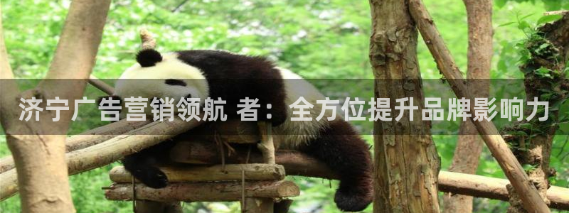 必赢手机版