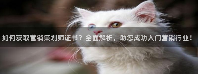 必赢宝是不是合法平台