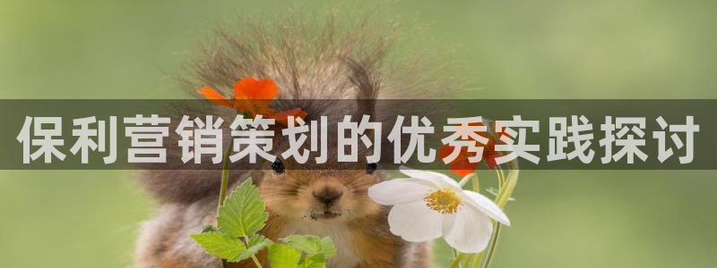 必赢官网app下载安装苹果手机