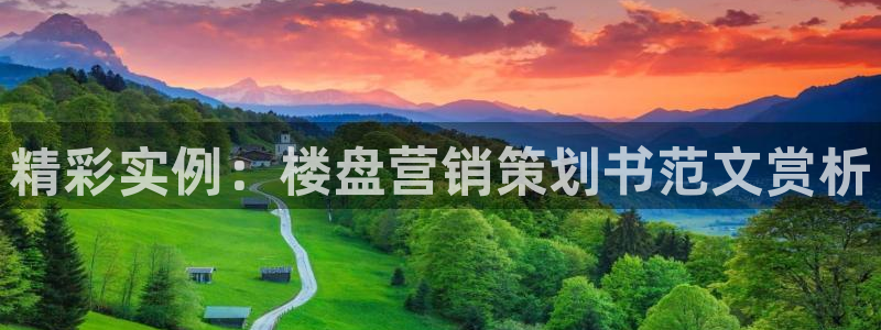 必赢qp
