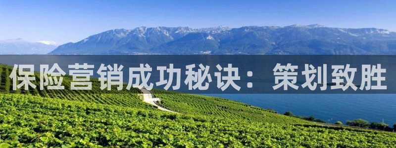 必赢国际网站合法吗