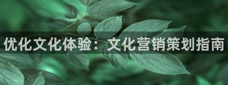 必赢官网网站入口下载