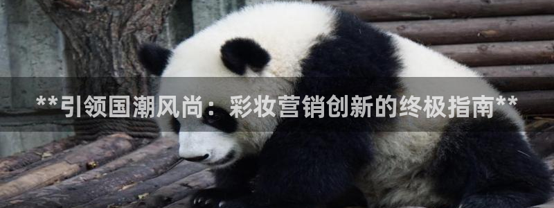 必赢app客户端下载官网手机版