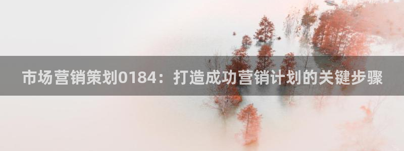 必赢九五：市场营销策划0184
