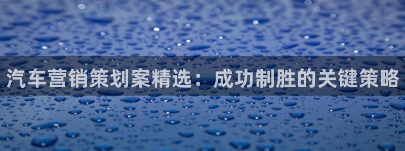 必赢官网入口下载安装：汽车营销