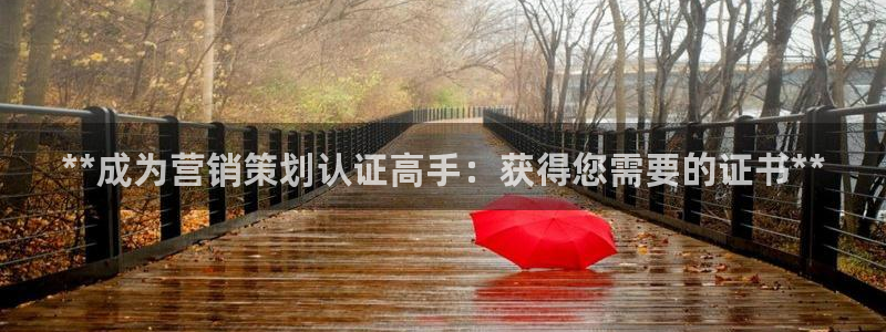 必赢官网下载安装手机版：**成