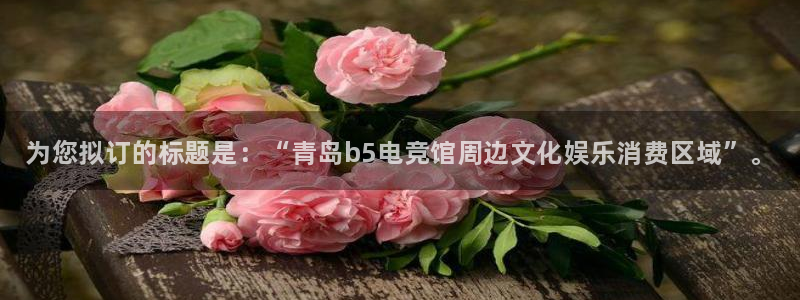 一竞技app：为您拟订的标题是：“青岛b5电竞馆周边文化娱乐消费区域”。