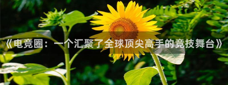一竞技官网地址：《电竞圈：一个汇聚了全球顶尖高手的竞技舞台》