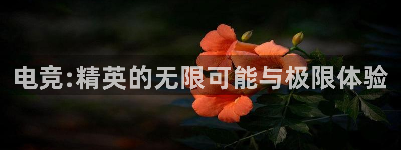 一竞技网址：电竞:精英的无限可能与极限体验